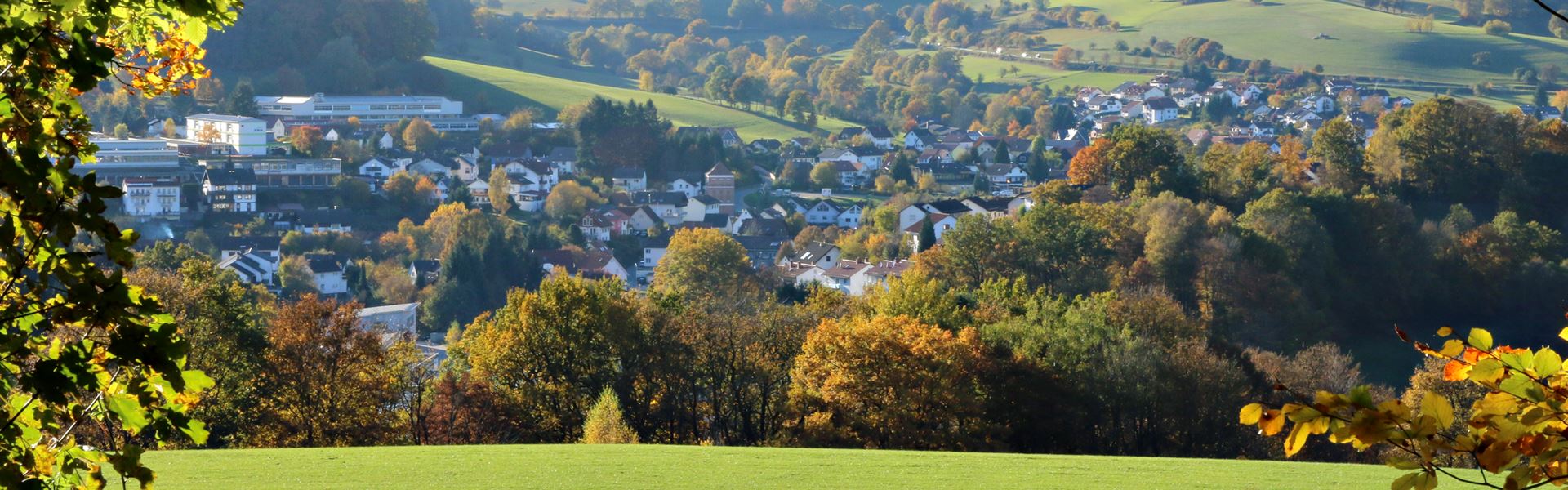 Wald Michelbach im Odenwald